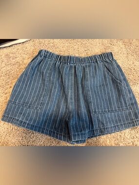Bohme Daisy Striped Denim Shorts